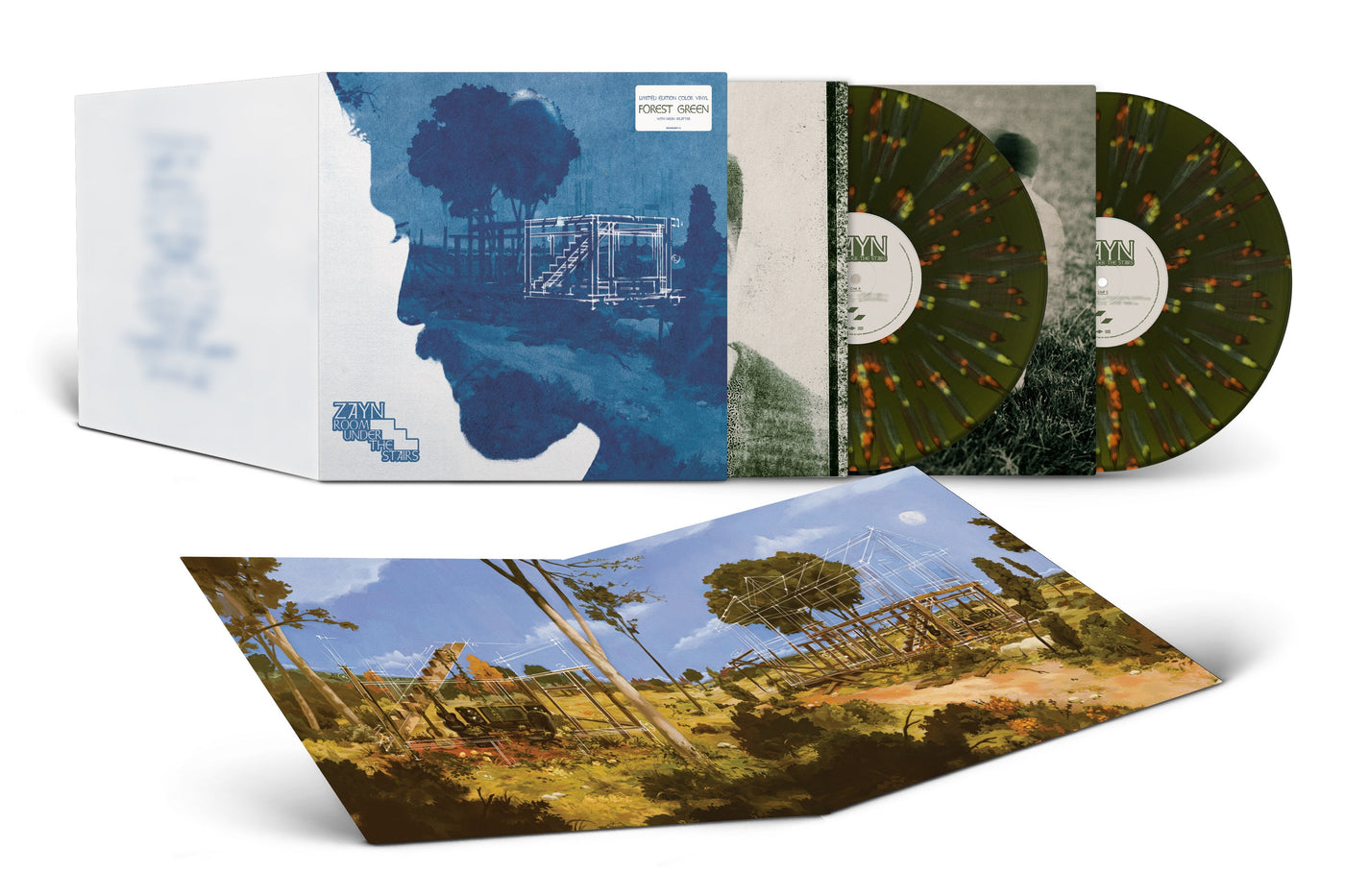 Zayn - Room Under The Stairs – Analog Record Shop