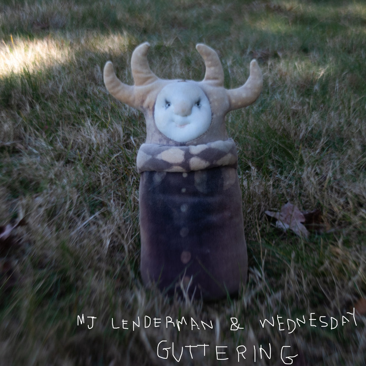 MJ Lenderman & Wednesday - Guttering EP
