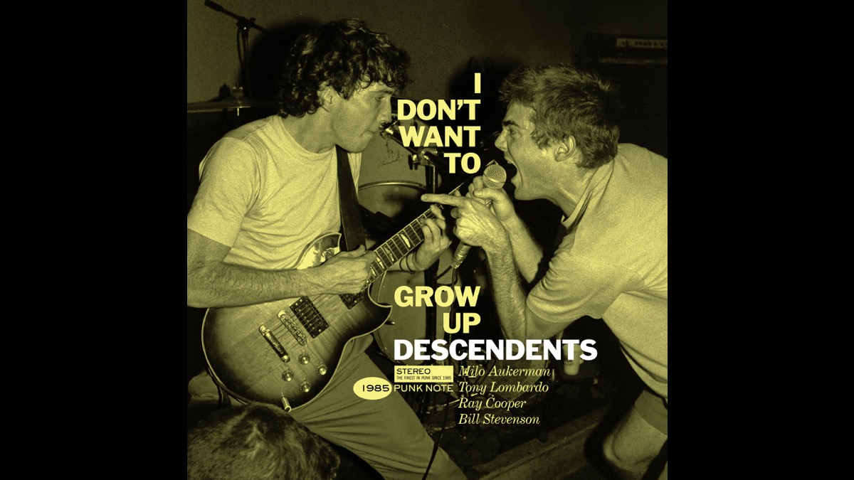 Descendents - I Don't Want To Grow Up