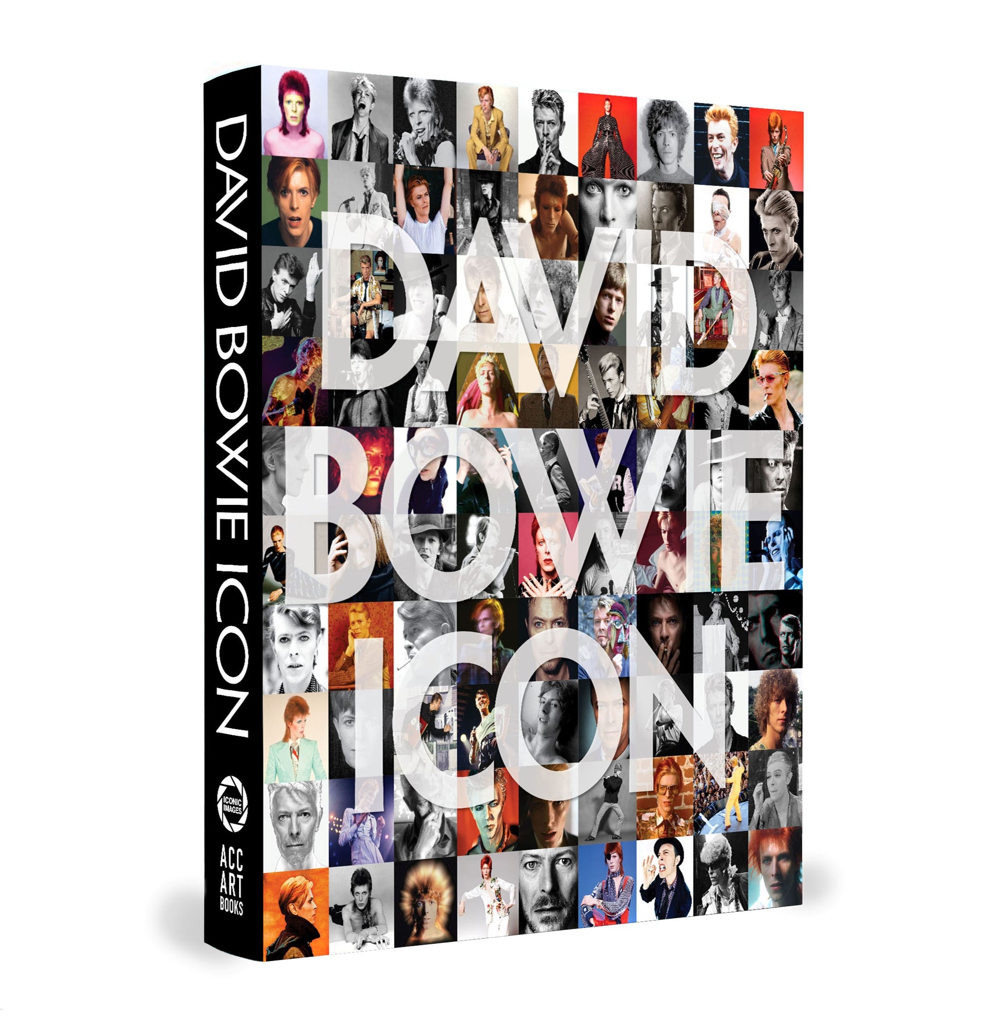 David Bowie: ICON - Denis O'Regan